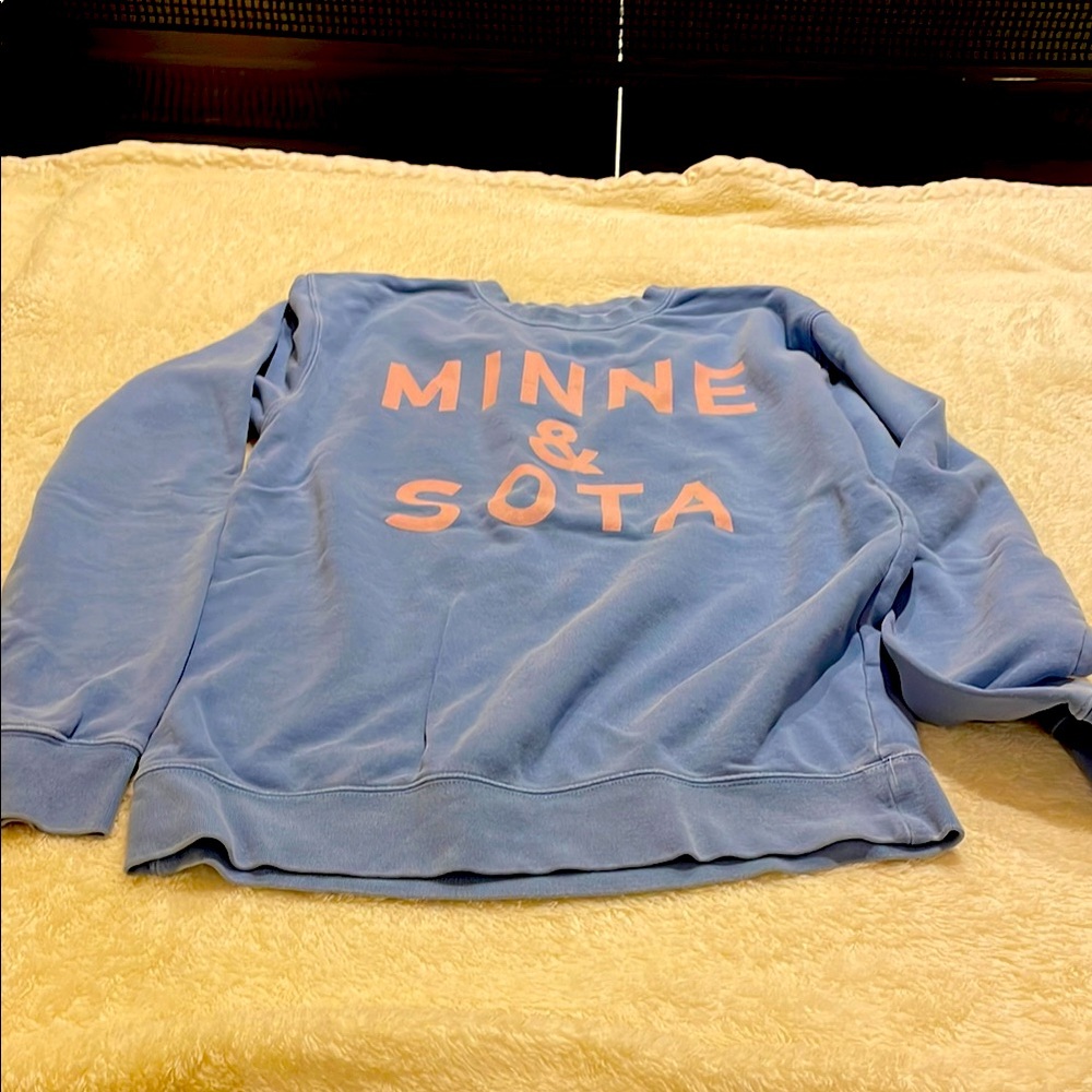 Aritzia Blue Sweatshirt with Pink Lettering
